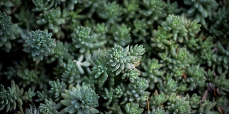 2024年品牌设计趋势预测：极简主义之后，品牌如何通过动态叙事与感官体验突围？