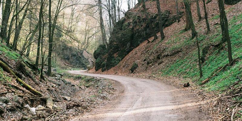 B2B与B2C品牌标识设计的核心差异：针对不同受众的策略剖析 | LogoMax专业解读