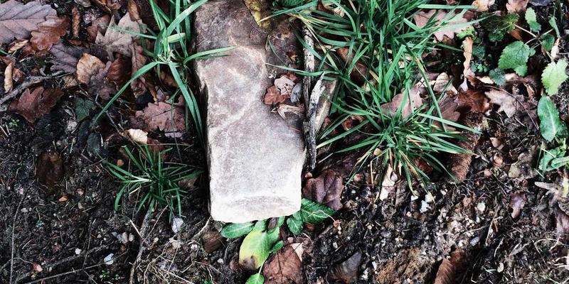 从零到一：初创公司打造品牌标识的完整步骤指南 | LogoMax专业解析