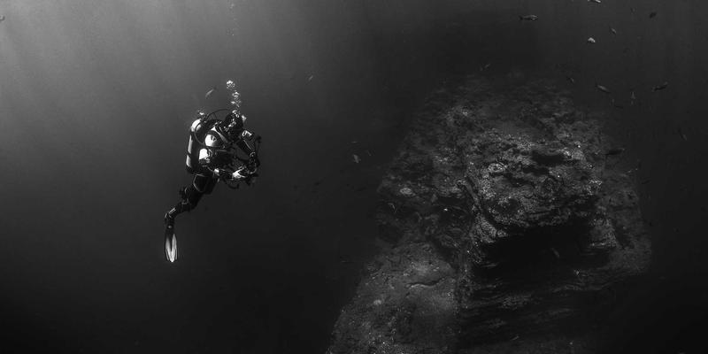 体育品牌标识设计剖析：如何通过动态与力量感传递团队精神与竞技激情