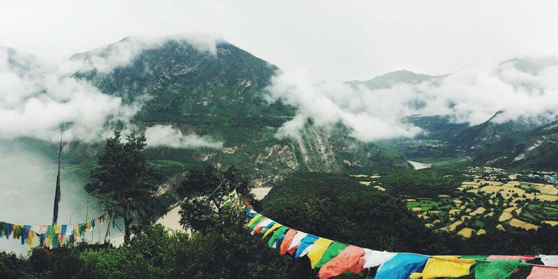 初创企业品牌标识设计避坑指南：5个常见错误与专业解决方案 | LogoMax