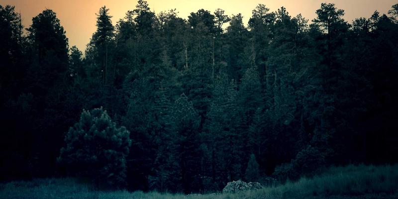 基于品牌定位的Logo设计策略：3大核心步骤确保标识与市场地位精准匹配 | LogoMax专业指南